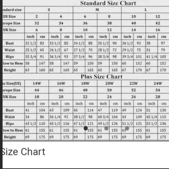 Chelsea & Violet Misty May Floral High Waist Flowy Shorts Medium - Picture 12 of 12